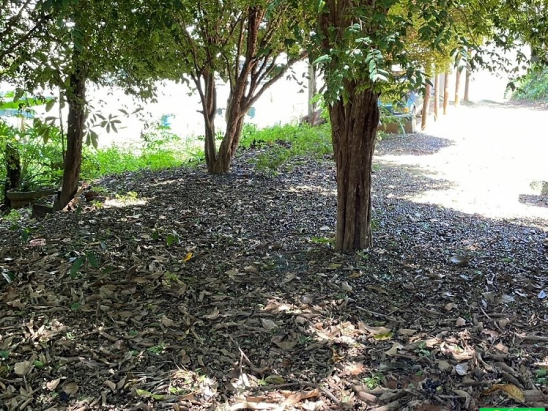 TERRENO P/ EMPRENDIMENTO