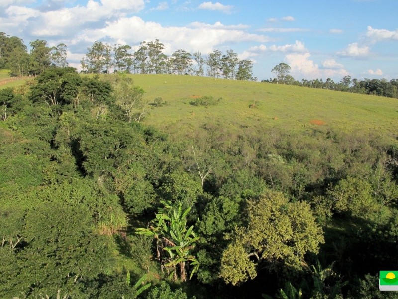 LINDA ÁREA COM MATA CASA SEDE PISCINA