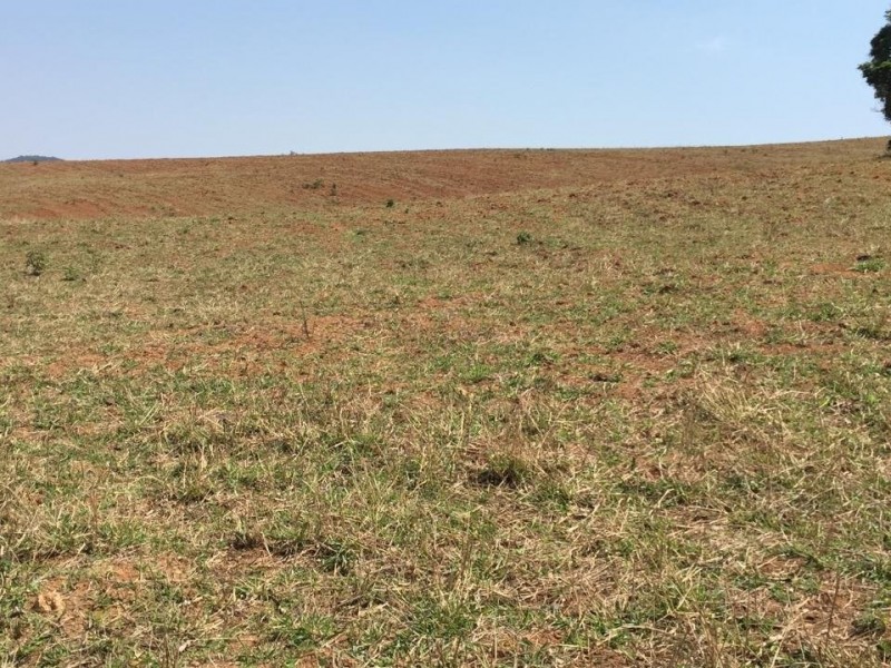 LINDA ÁREA NUA MARGEANDO JAGUARI