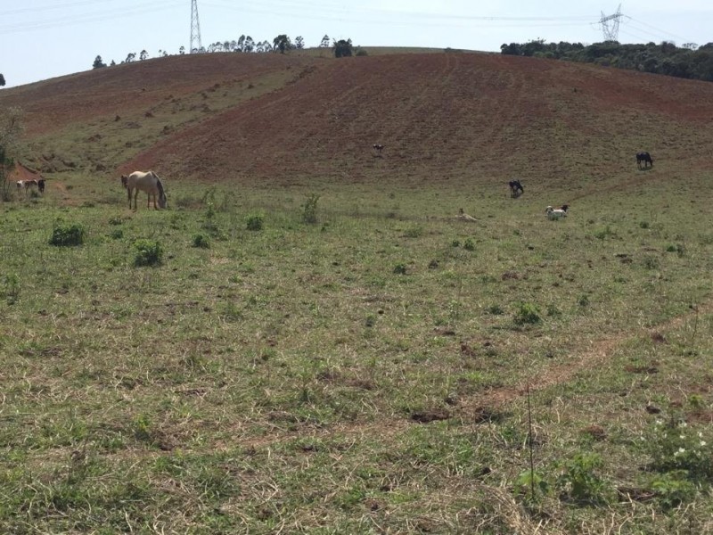 LINDA ÁREA NUA MARGEANDO JAGUARI