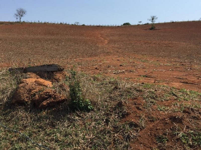 LINDA ÁREA NUA MARGEANDO JAGUARI