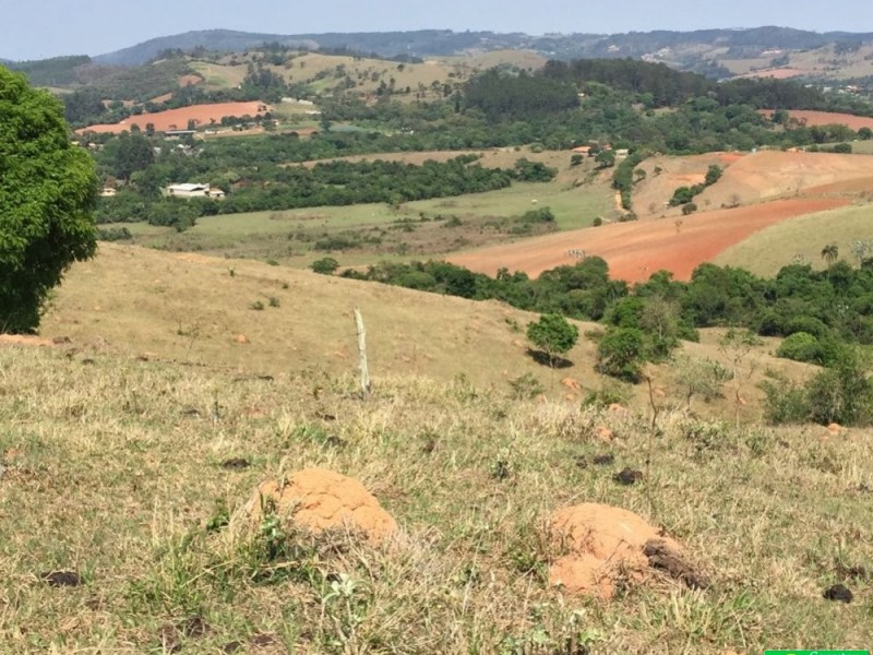 LINDA ÁREA NUA MARGEANDO JAGUARI