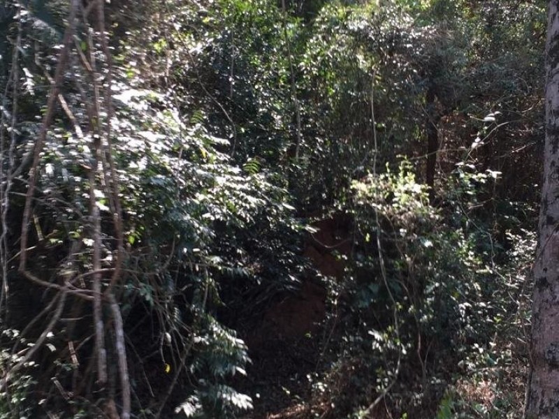 LINDA ÁREA NUA MARGEANDO JAGUARI