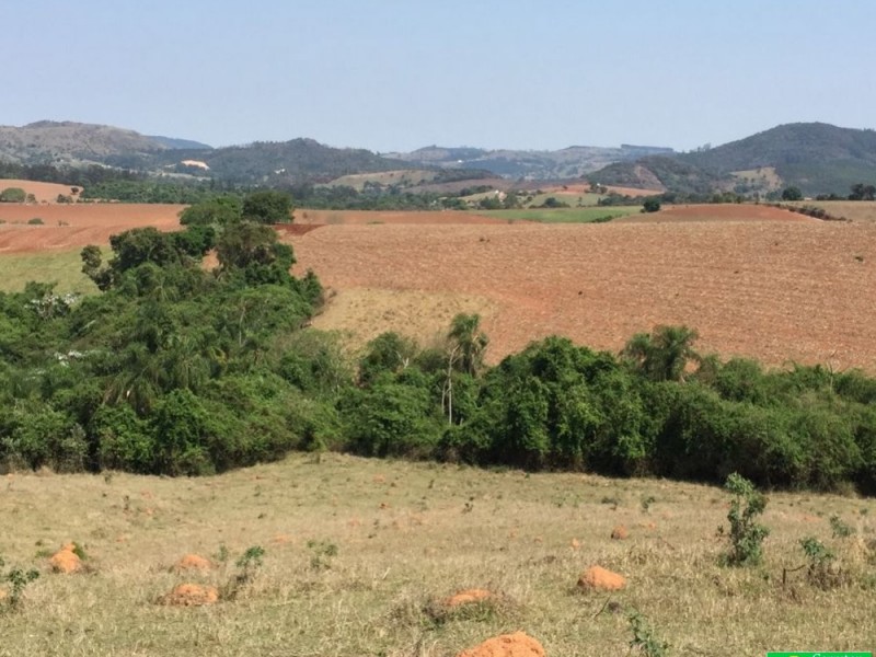 LINDA ÁREA NUA MARGEANDO JAGUARI