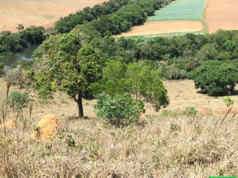 LINDA ÁREA NUA MARGEANDO JAGUARI