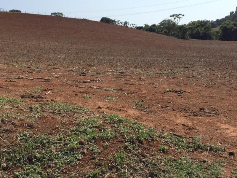 LINDA ÁREA NUA MARGEANDO JAGUARI