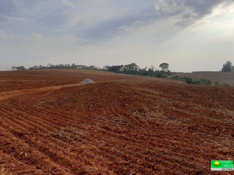 ÁREA P/ PRODUÇÃO
