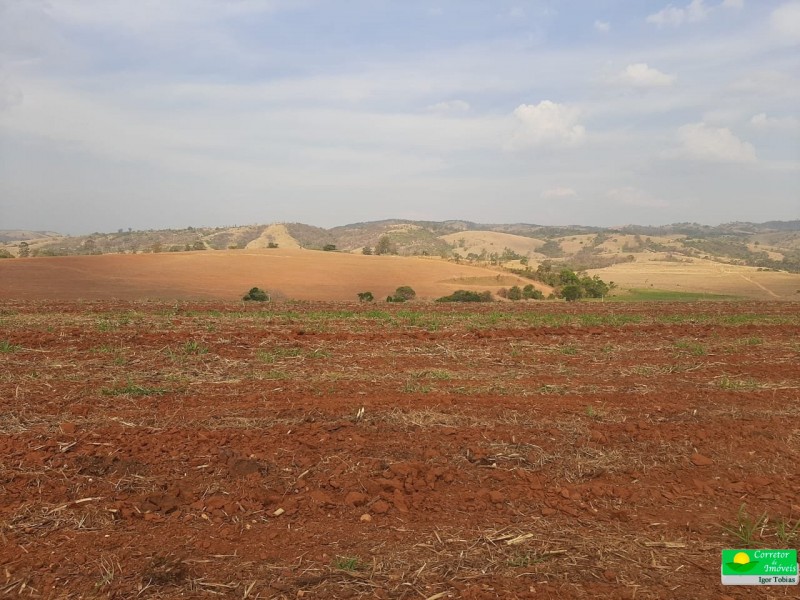 ÁREA P/ PRODUÇÃO