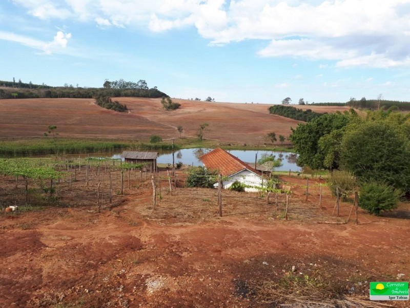 FAZENDA MOGI MIRIM