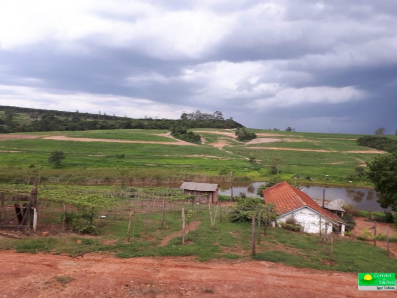 FAZENDA MOGI MIRIM