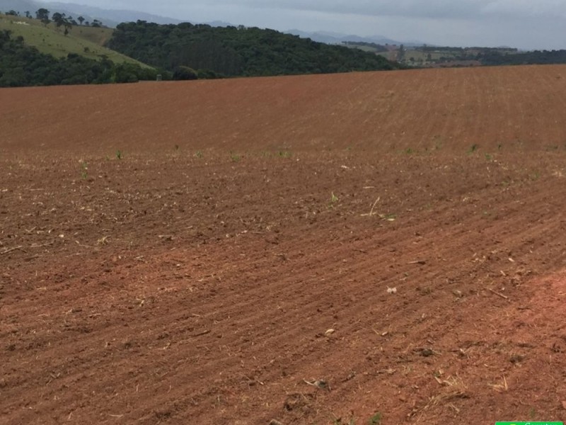 ÁREA P/ PLANTIO