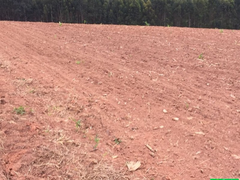 ÁREA P/ PLANTIO