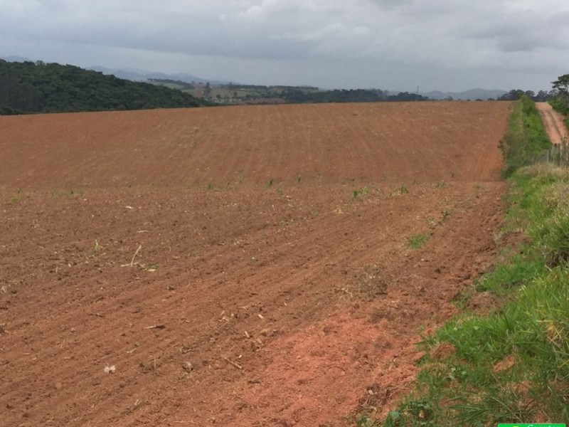 ÁREA P/ PLANTIO