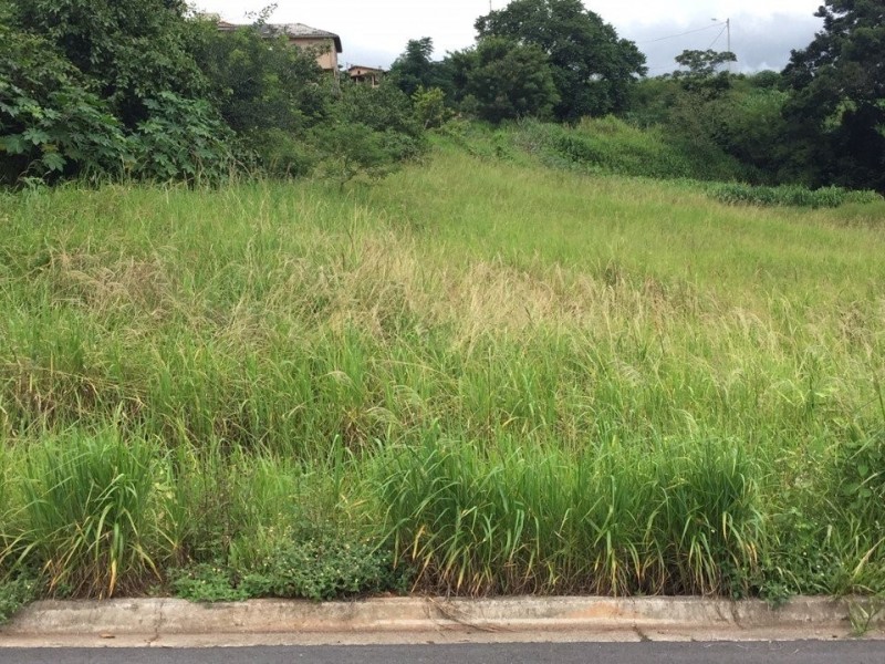 TERRENO PLANO 