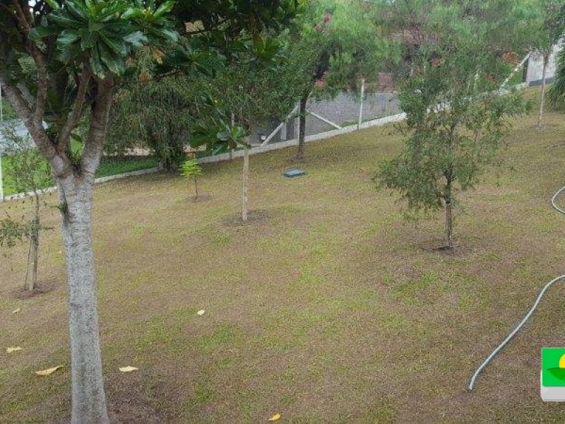 VENDIDO VENDIDO