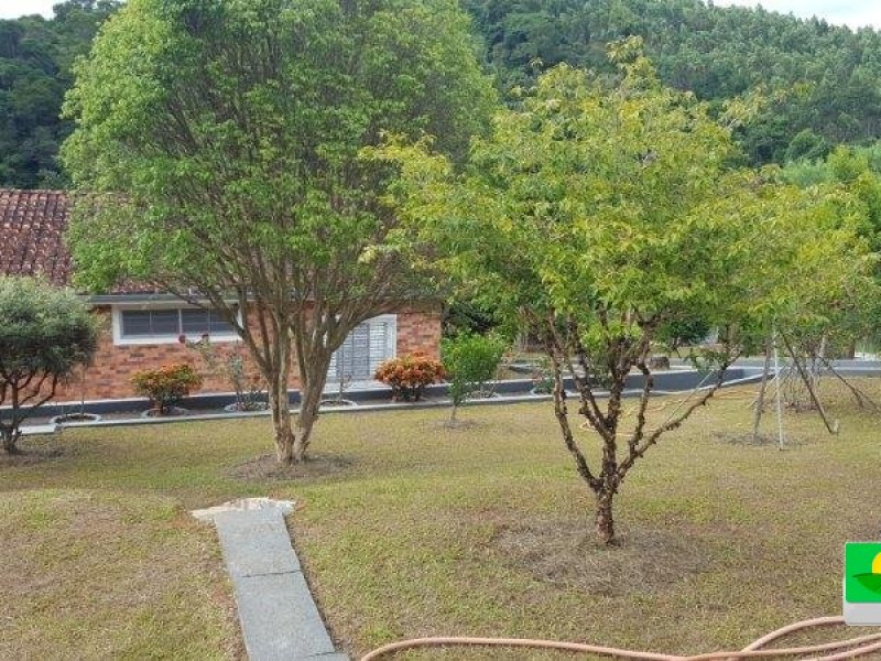 VENDIDO VENDIDO