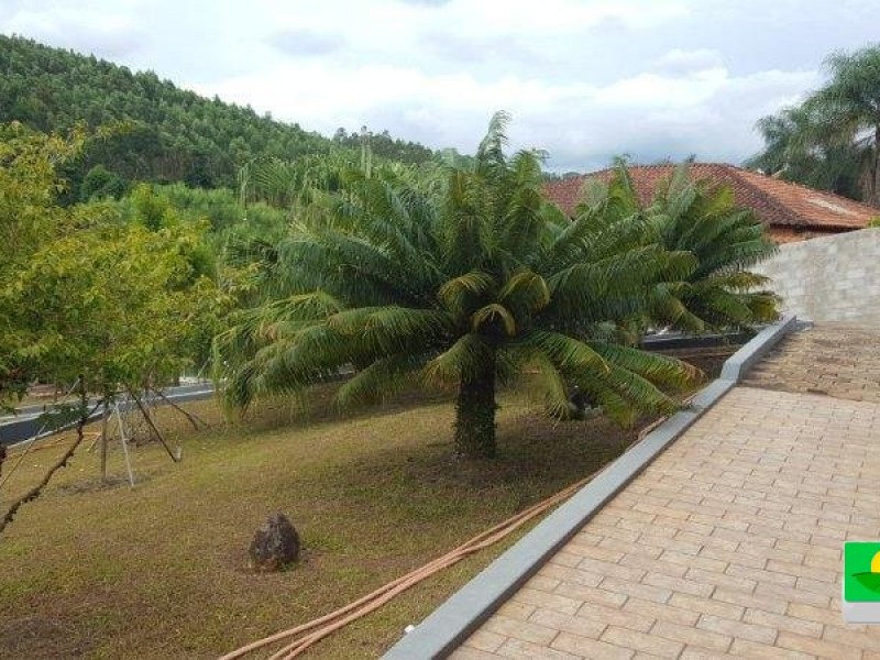 VENDIDO VENDIDO