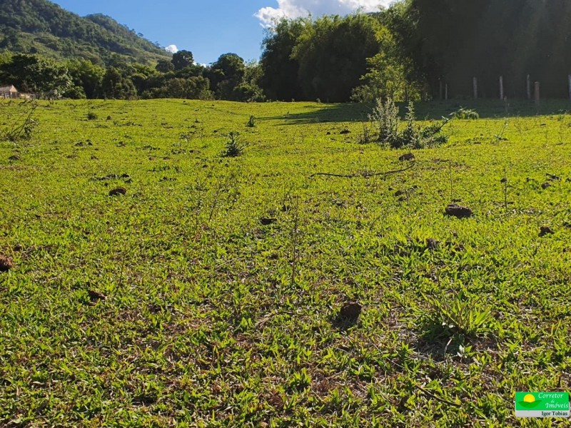 OURO FINO PRODUÇÃO LEITE