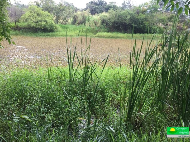 ÁREA C/ POSSIBILIDADE DE PERÍMETRO URBANO