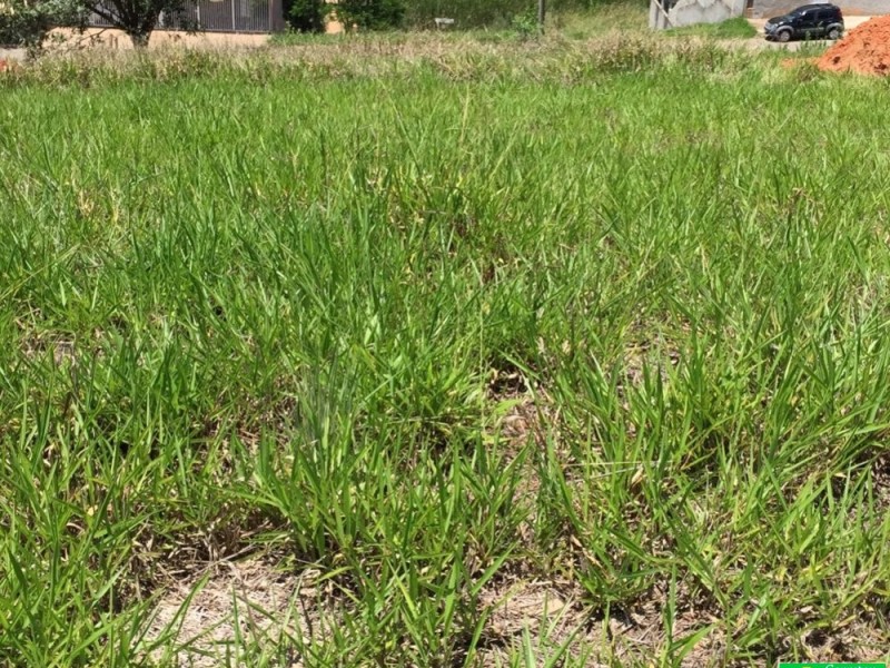 TERRENO 1 RUA MONTICO 