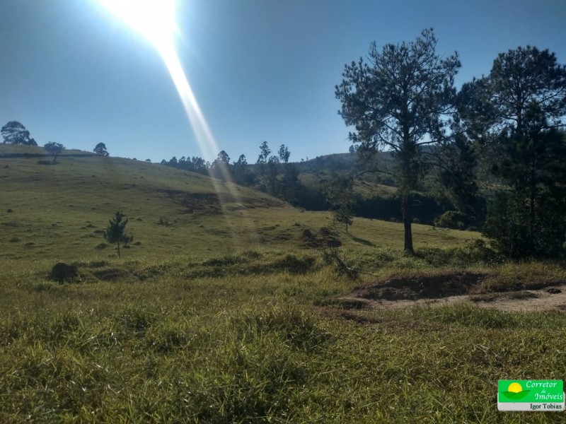 ÁREA P/ CULTIVO BAIRRO ROSAS
