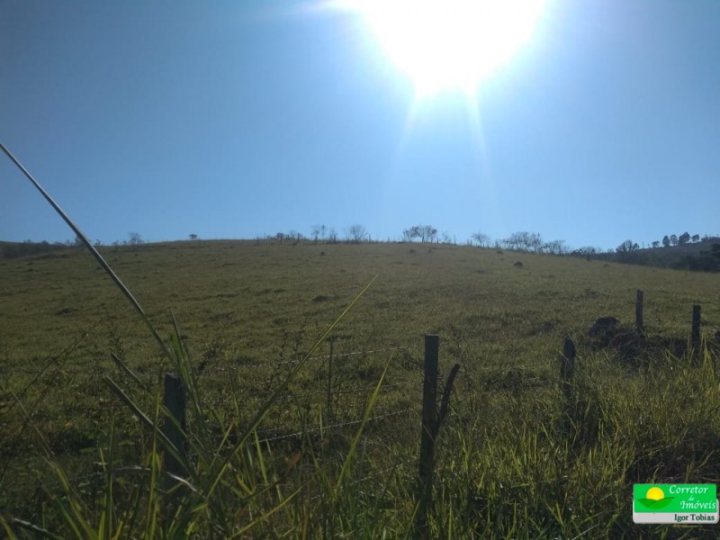 ÁREA P/ CULTIVO BAIRRO ROSAS