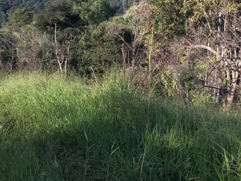 SITIO Á 1KM ASFALTO