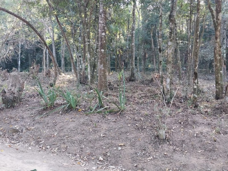 SITIO RURAL + ÁREA NATIVA