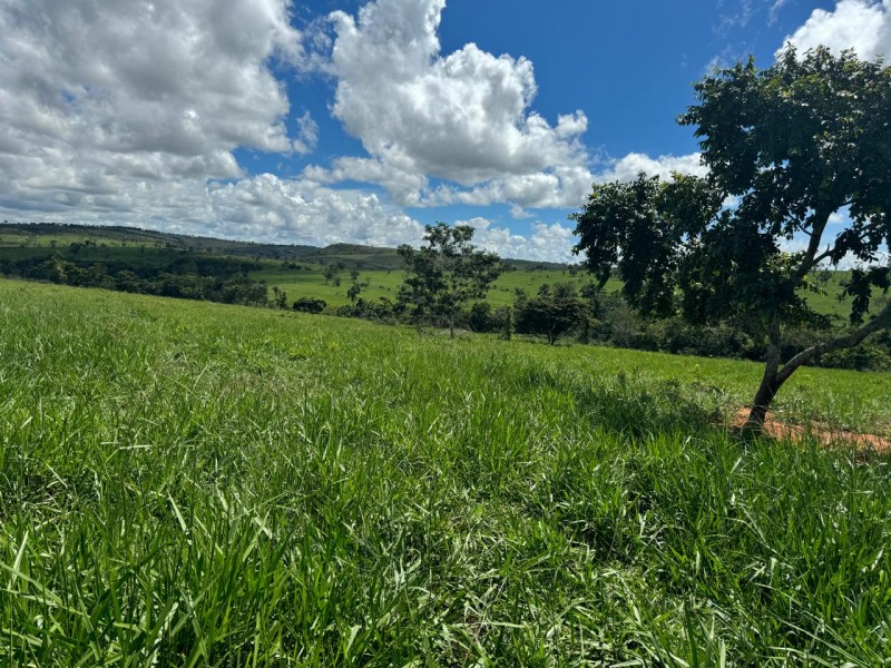 FAZENDA OLHOS D'ÁGUA