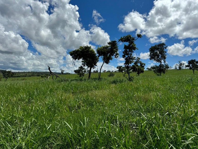 FAZENDA OLHOS D'ÁGUA