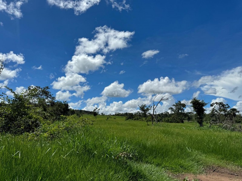 FAZENDA OLHOS D'ÁGUA