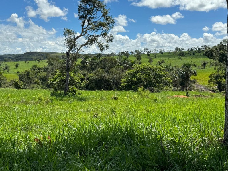 FAZENDA OLHOS D'ÁGUA