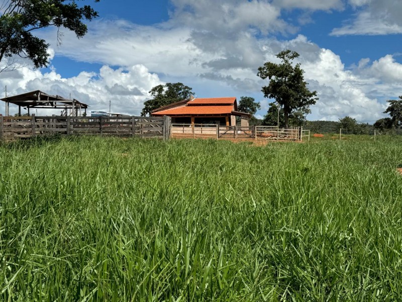 FAZENDA OLHOS D'ÁGUA