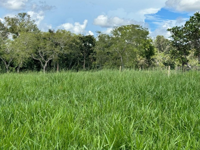 FAZENDA OLHOS D'ÁGUA