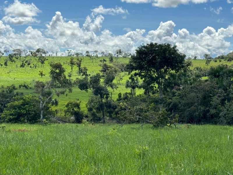 FAZENDA OLHOS D'ÁGUA