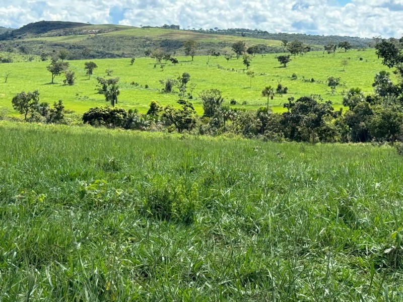 FAZENDA OLHOS D'ÁGUA