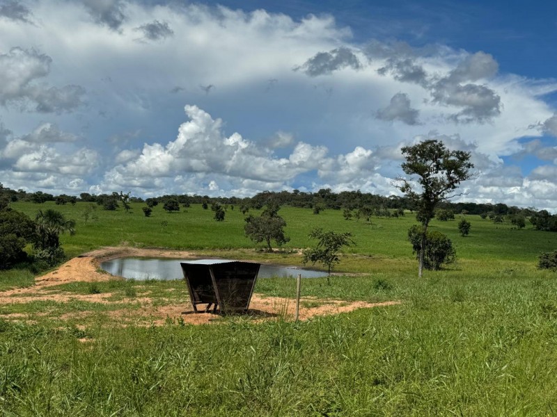 FAZENDA OLHOS D'ÁGUA