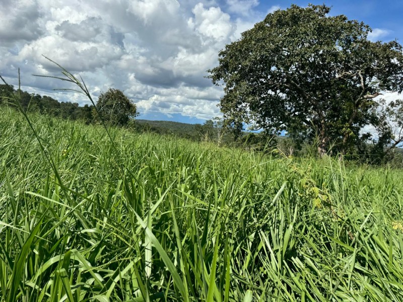 FAZENDA OLHOS D'ÁGUA