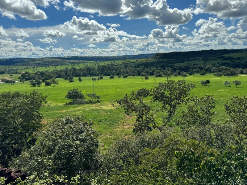 FAZENDA OLHOS D'ÁGUA
