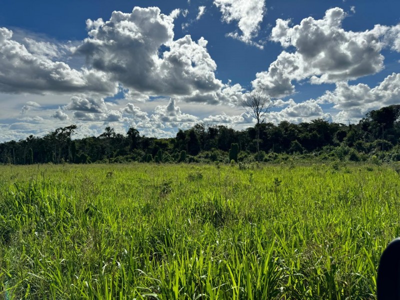 FAZENDA OLHOS D'ÁGUA
