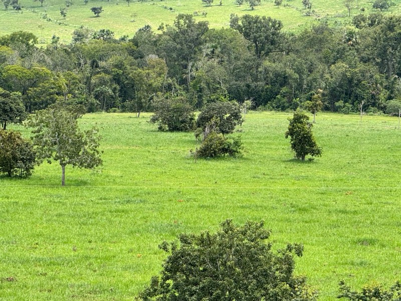FAZENDA OLHOS D'ÁGUA