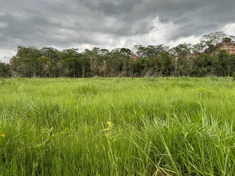 FAZENDA OLHOS D'ÁGUA