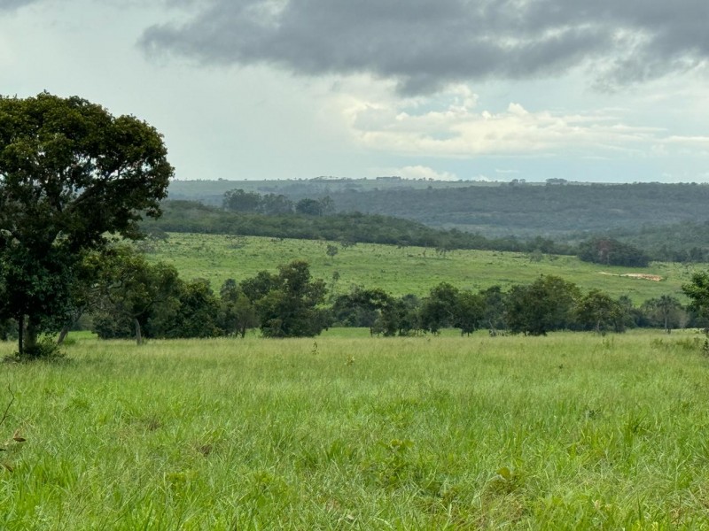 FAZENDA OLHOS D'ÁGUA