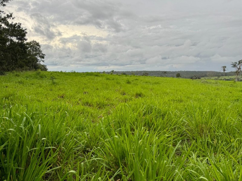 FAZENDA OLHOS D'ÁGUA