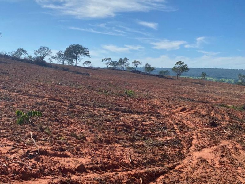 FAZENDA OLHOS D'ÁGUA