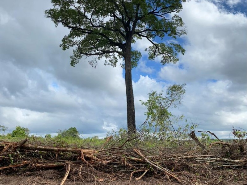 FAZENDA OLHOS D'ÁGUA