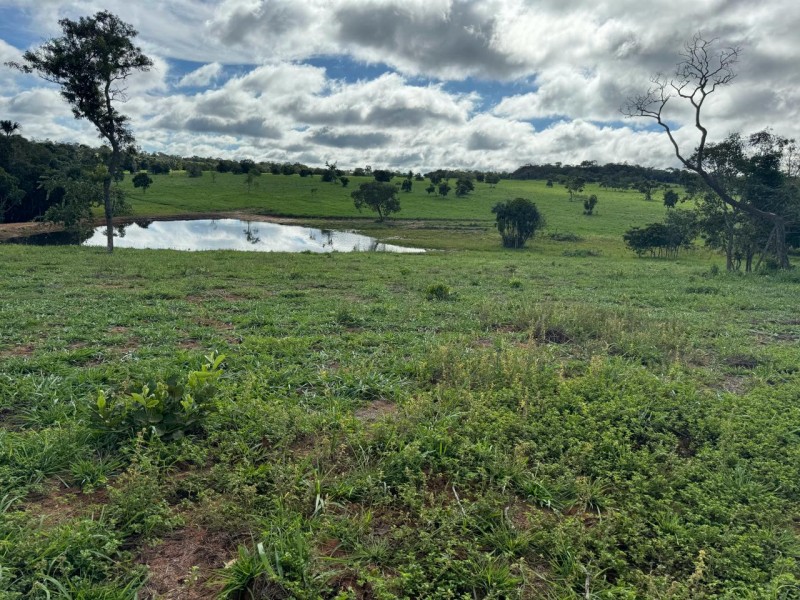 FAZENDA OLHOS D'ÁGUA