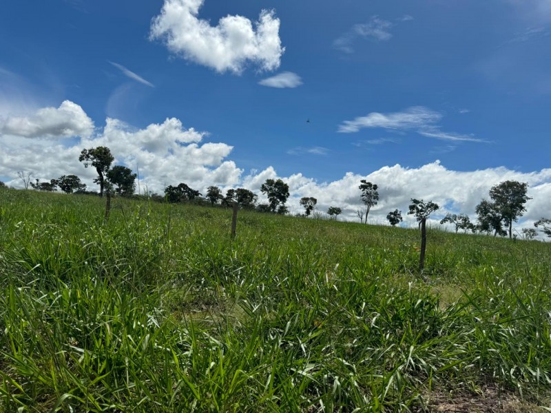 FAZENDA OLHOS D'ÁGUA
