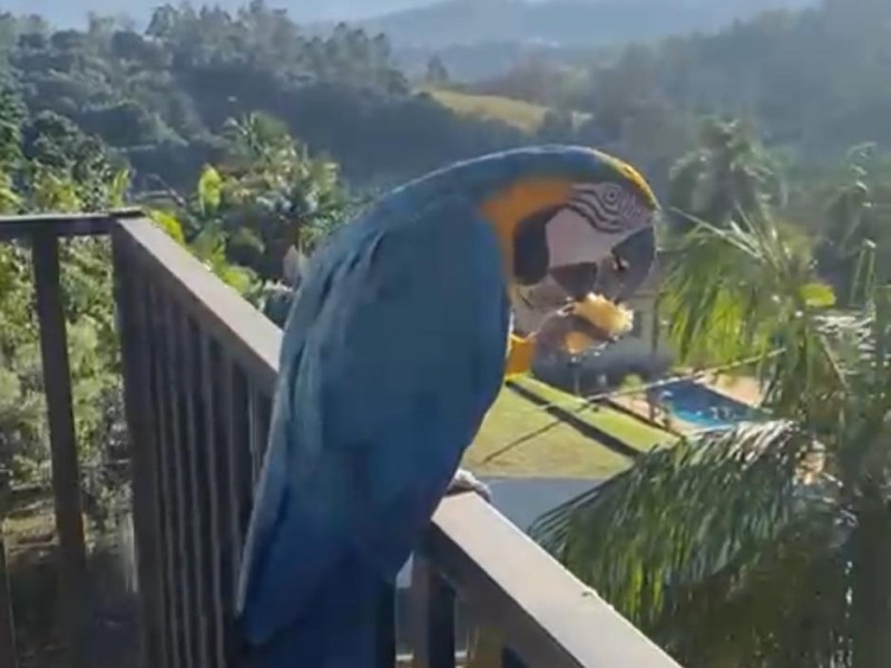 CHACARÁ COM LINDA CASA