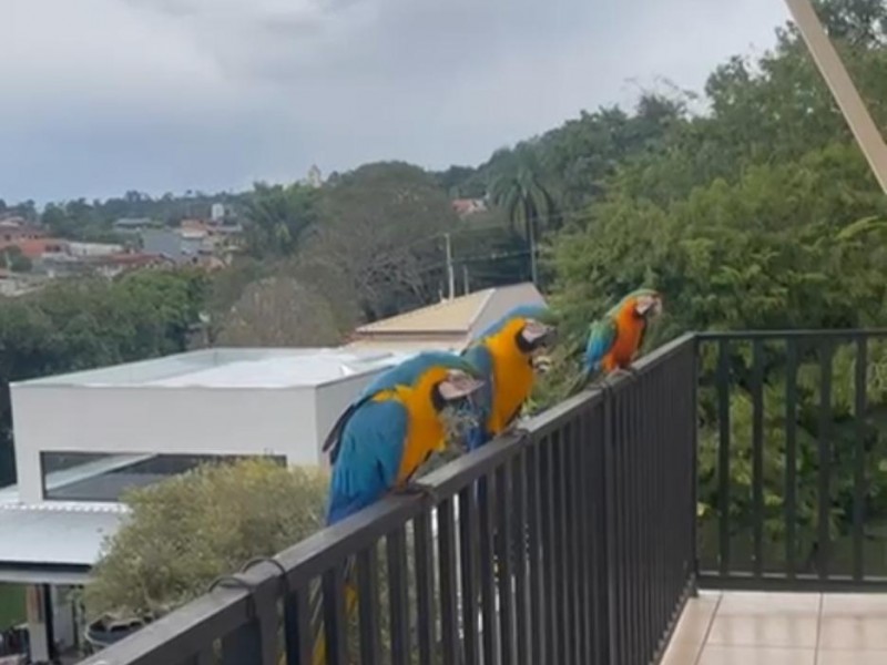 CHACARÁ COM LINDA CASA